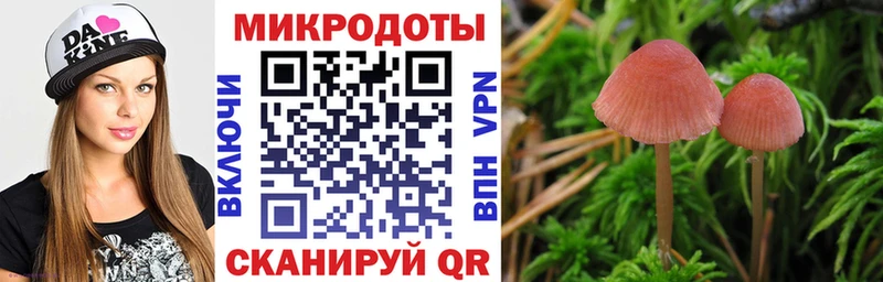 Галлюциногенные грибы Psilocybe  Полтавская 